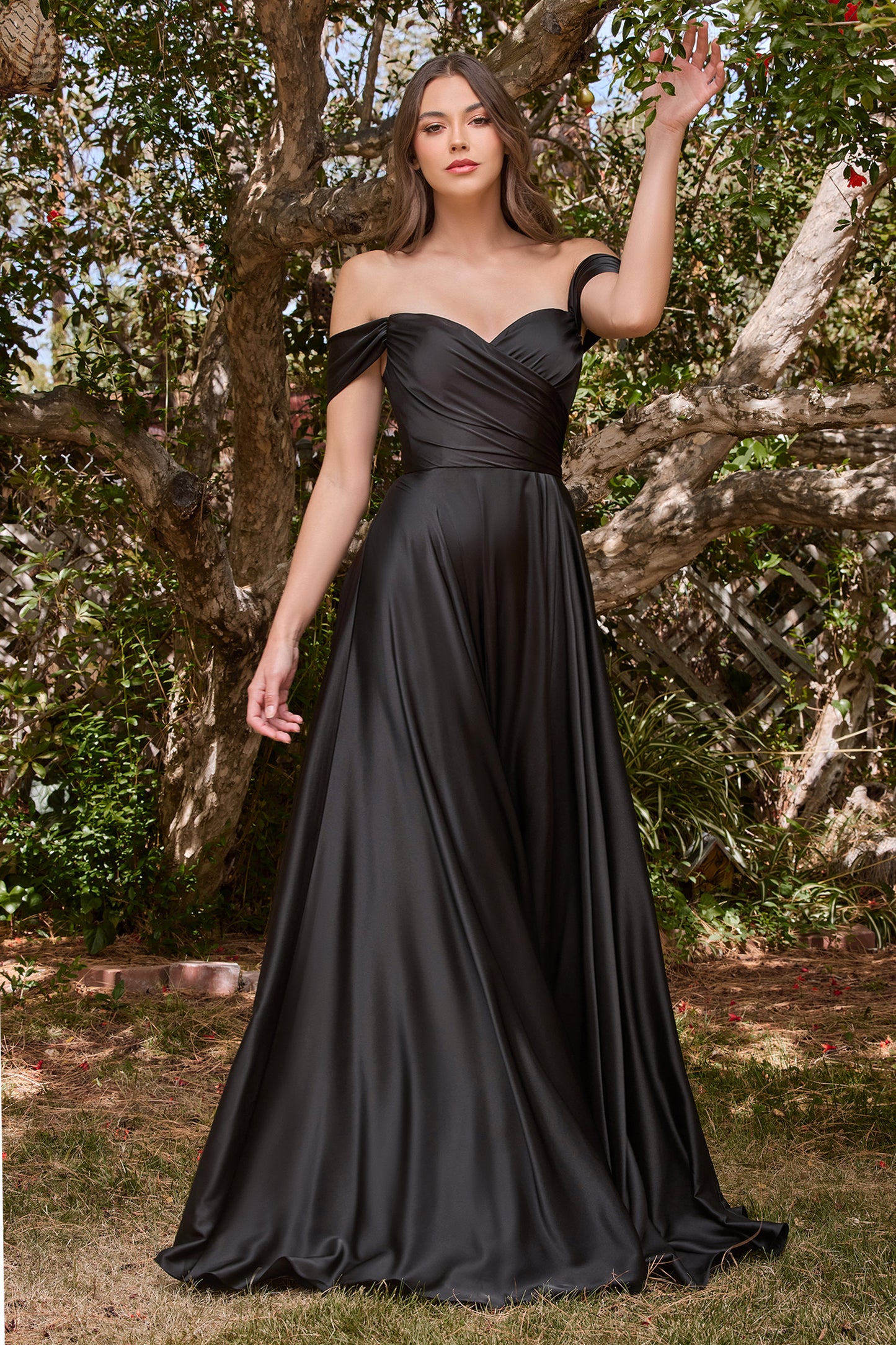 WA C3947 (Plus Sizes)