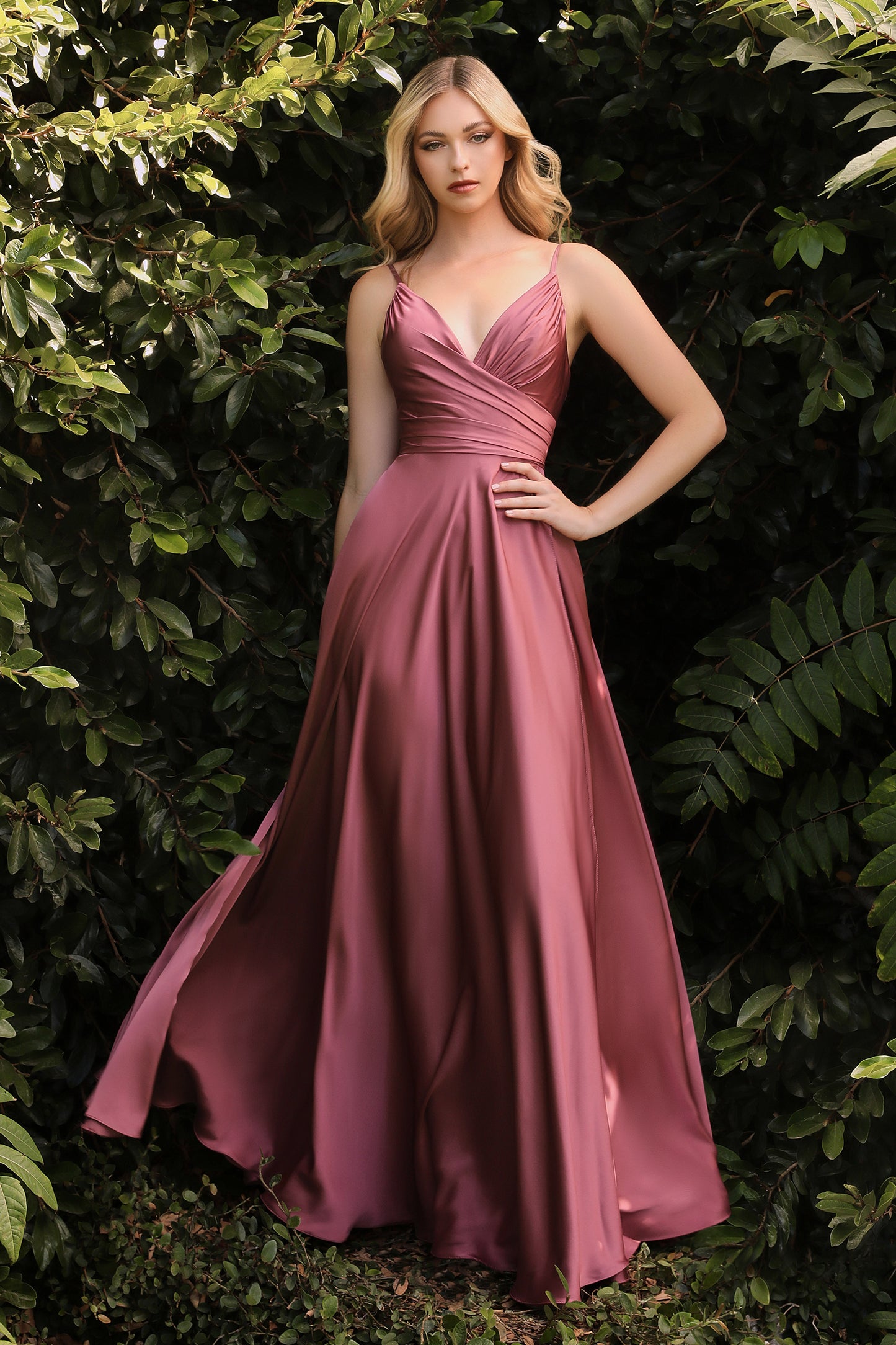 WA C5847 (Plus Sizes)